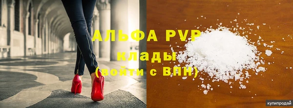 ГАЛЛЮЦИНОГЕННЫЕ ГРИБЫ Абаза