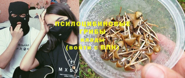 ГАЛЛЮЦИНОГЕННЫЕ ГРИБЫ Абаза