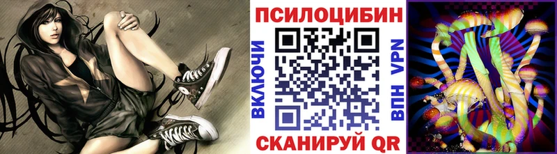 купить  цена  Никольск  Галлюциногенные грибы MAGIC MUSHROOMS 
